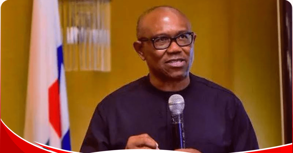 LP chairman claims Peter Obi will be declared Nigeria’s president