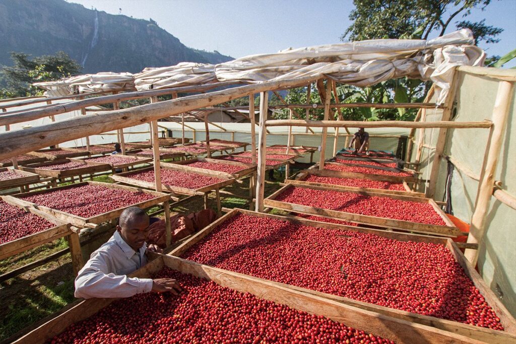 G-25 Africa Summit: An opportunity to market Uganda’s coffee