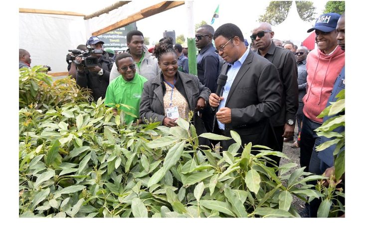 Use internal revenue to improve agriculture- PM Majaliwa