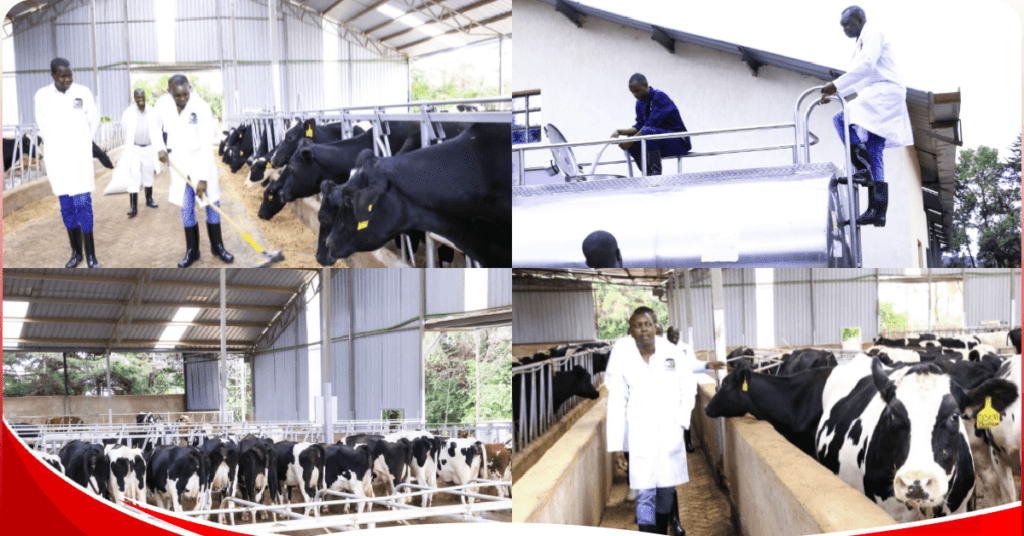 A sneak peek inside MP Oscar Sudi’s modern dairy farm