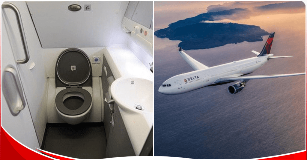 Delta Airlines plane forced back after passenger develops diarrhea