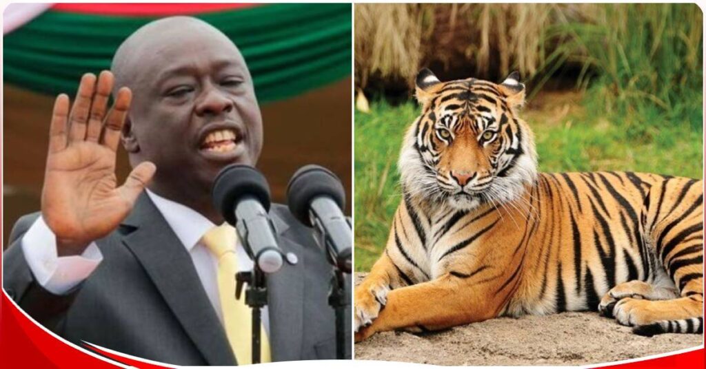 DP Gachagua is on the spot for saying Kenya has tigers