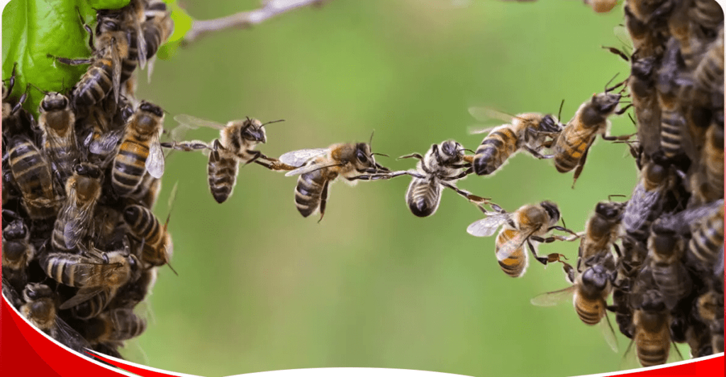 Bees sting two-year-old to death in Bomet