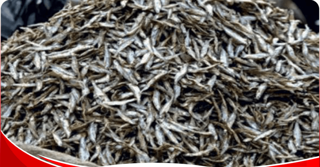 Kenya exports 52 tonnes of omena to China