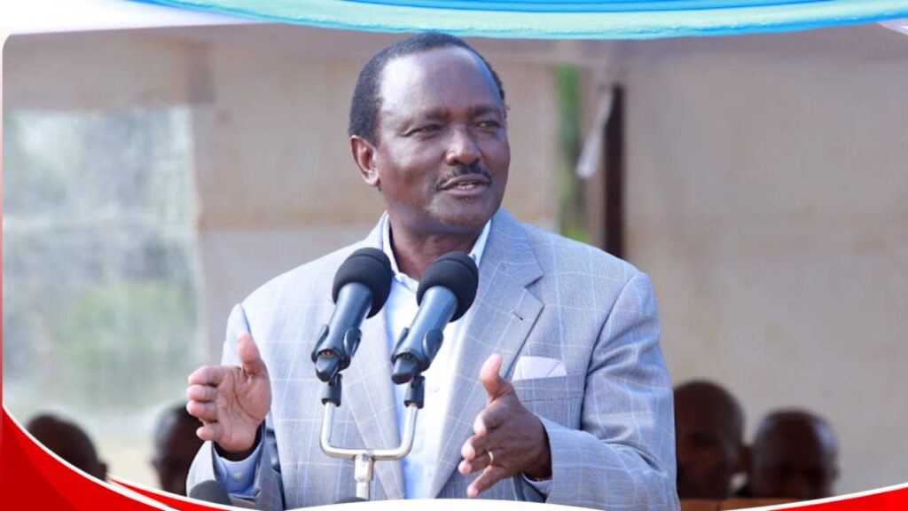 My first executive order as president will be to repeal Housing Levy -Kalonzo Musyoka