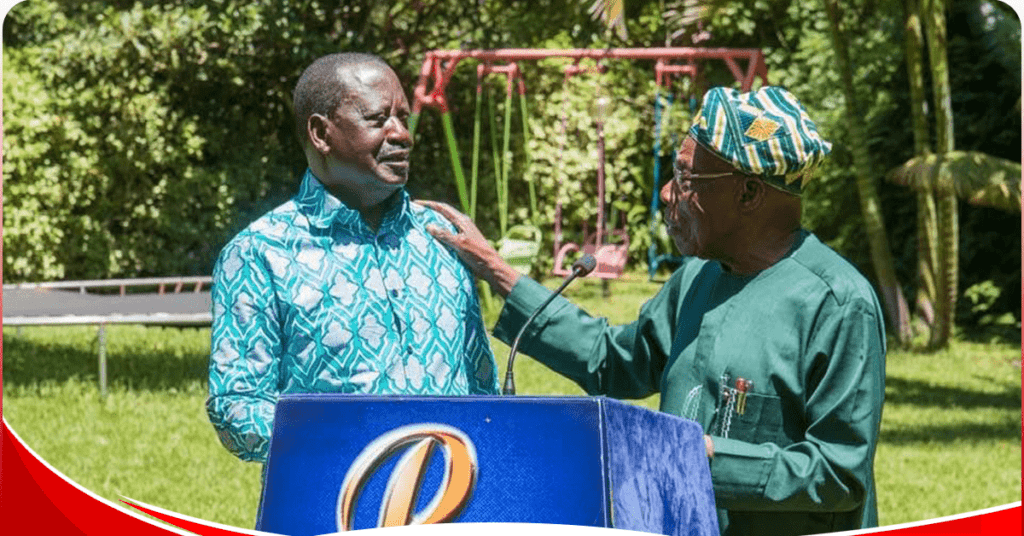 Raila does not need government support to get AU job