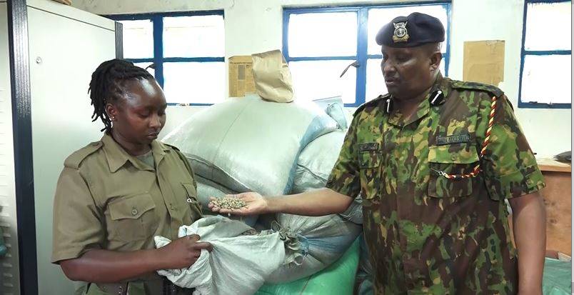 Senior factory manager found with 11 bags of stolen coffee in Embu