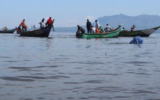 Woman dies after being attacked by crocodile at Lake Victoria