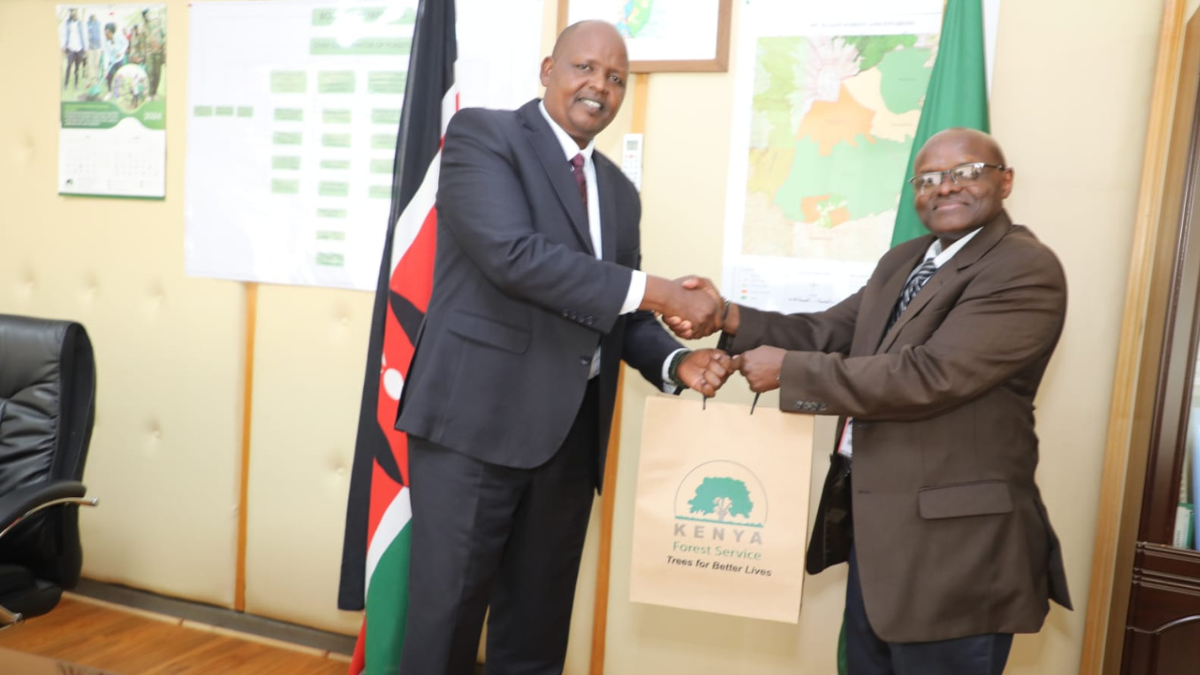 Cape Media to partner with Kenya Forest Service in tree planting campaign