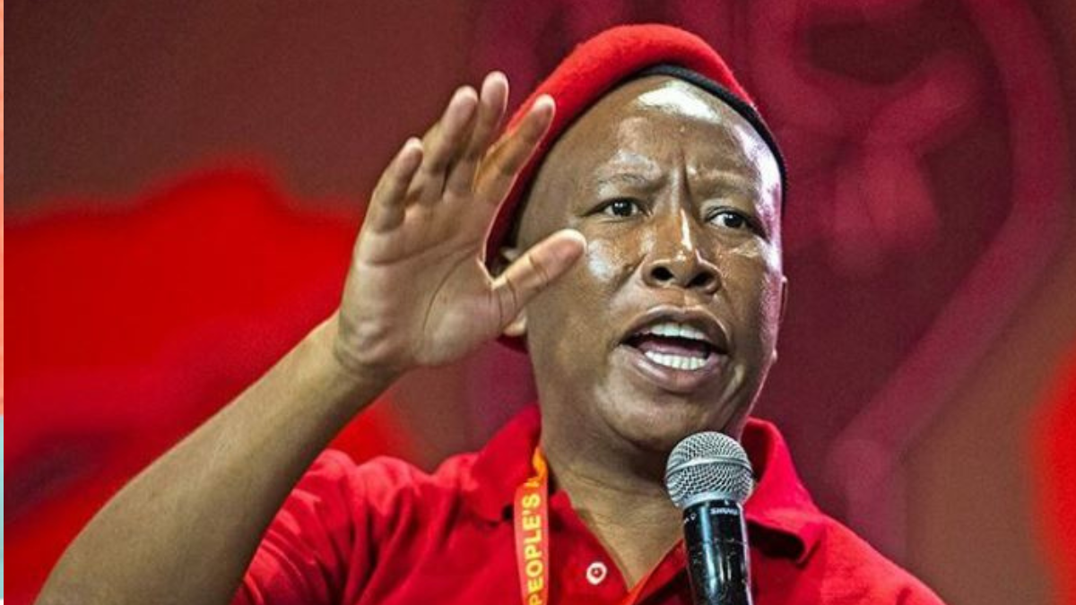 South African opposition politician Julius Malema. Photo/Courtesy