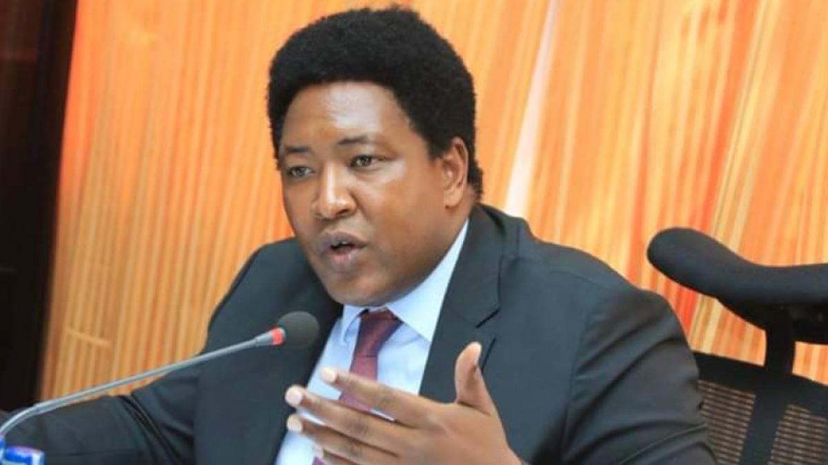 MPs never consider Kenyans’ opinions expressed during public participation, says Senator Ledama Olekina