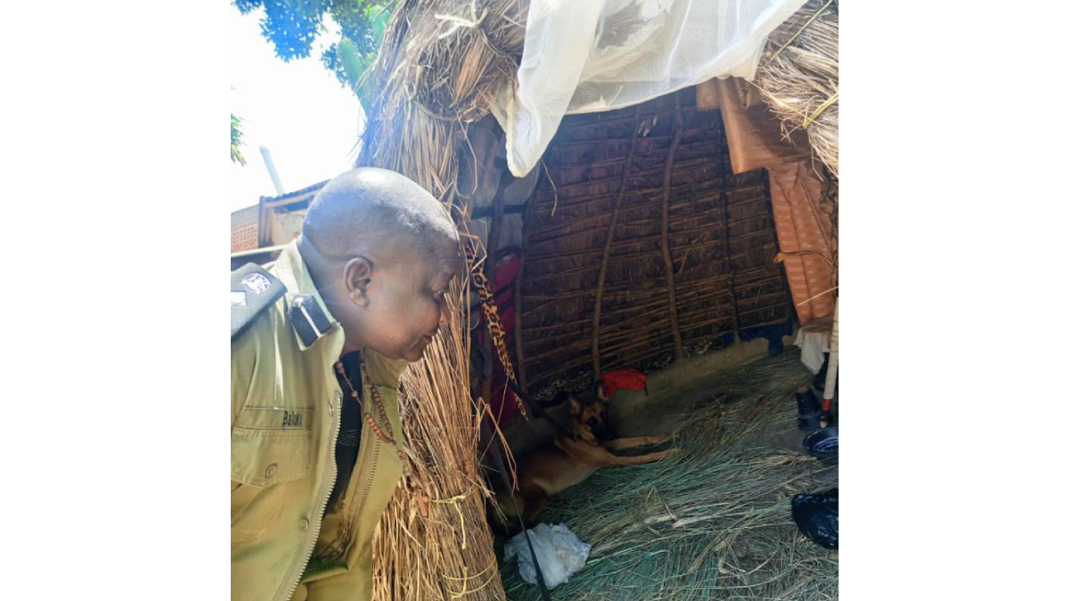 Pupil, 11, who left home to hawk maize killed in suspected ritual sacrifice