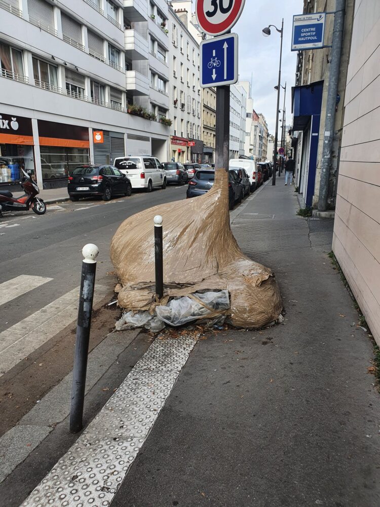 Mayor Anne Hidalgo, who depends on support from the Greens, has faced criticism from conservative opponents for allegedly failing to address issues like rubbish, rodents, and dog poop. Photo: Thomas Magnum/ X.