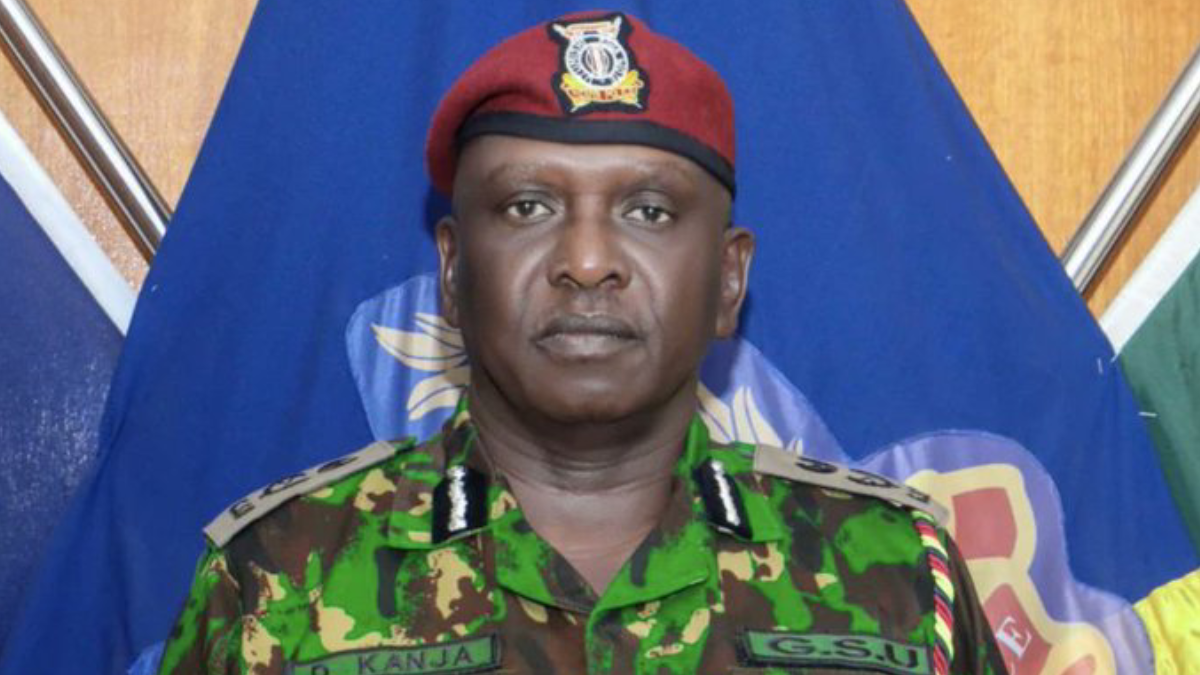 Acting IG Kanja bans protests in Nairobi CBD “until further notice”