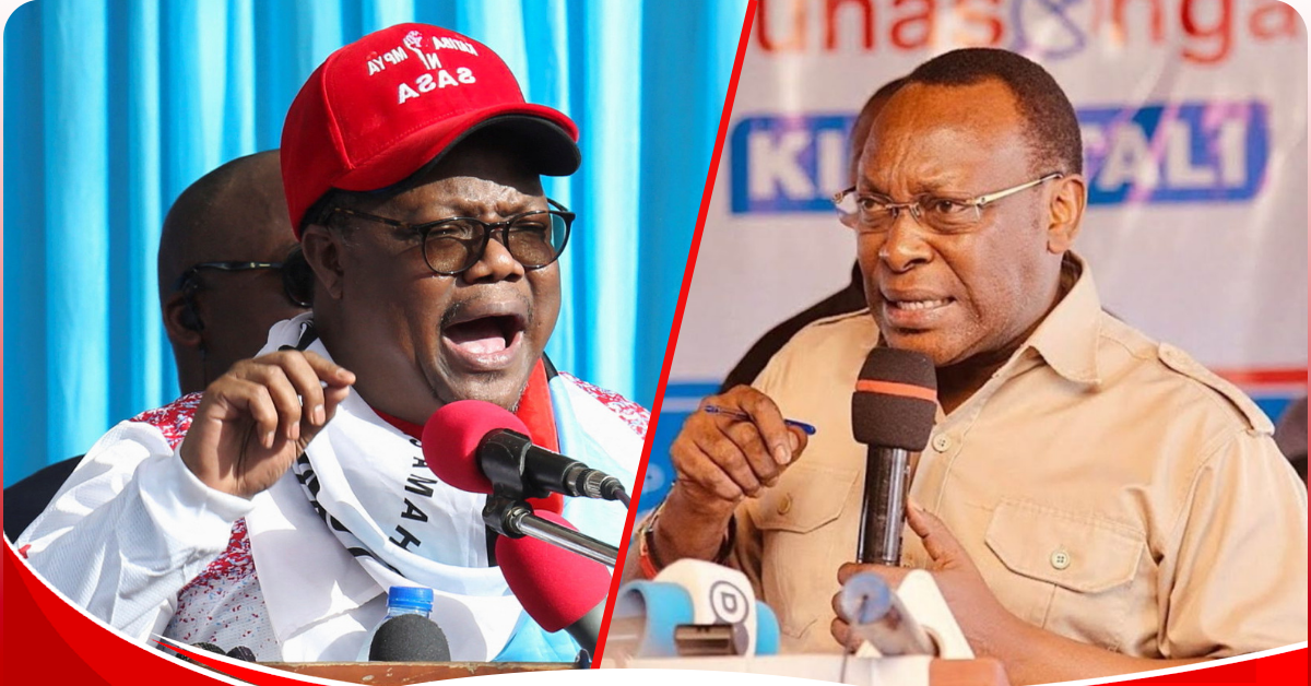 Tanzania: Opposition calls for release of leaders over youth rally