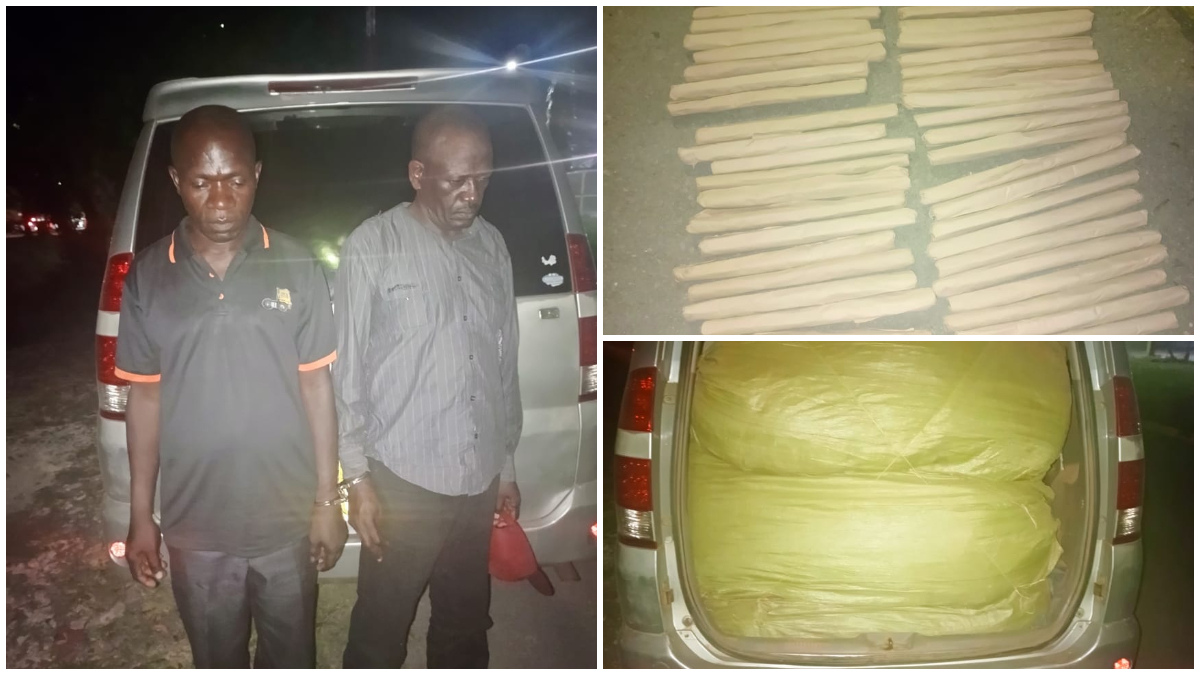 Two arrested as police uncover KSh13 million bhang in a Toyota Noah in Mariakani