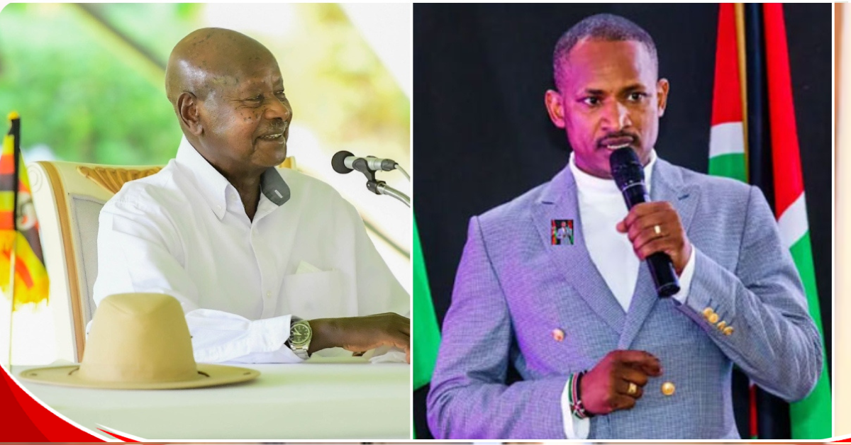 Babu Owino claps back at Yoweri Museveni