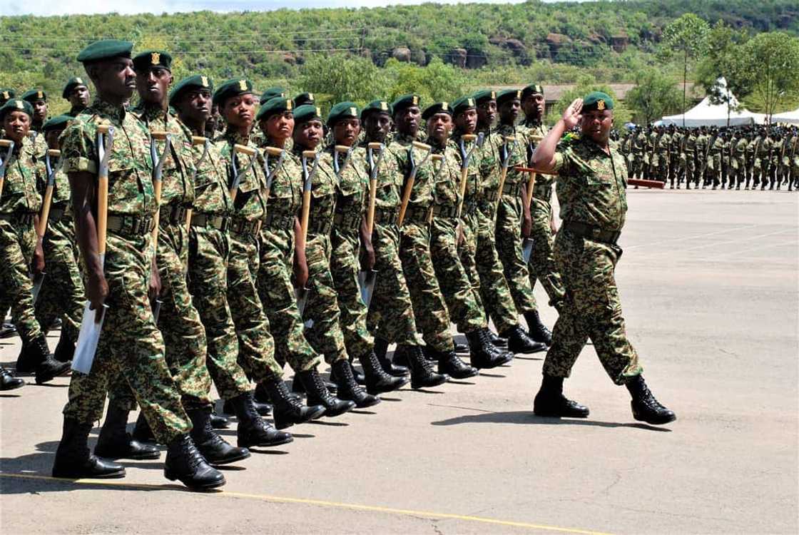 President Ruto orders firearms training for NYS  recruits