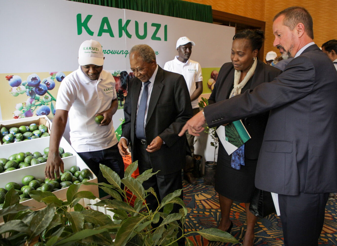 Kakuzi posts KSh507 million half year pretax profit as Macadamia division returns to profit zone