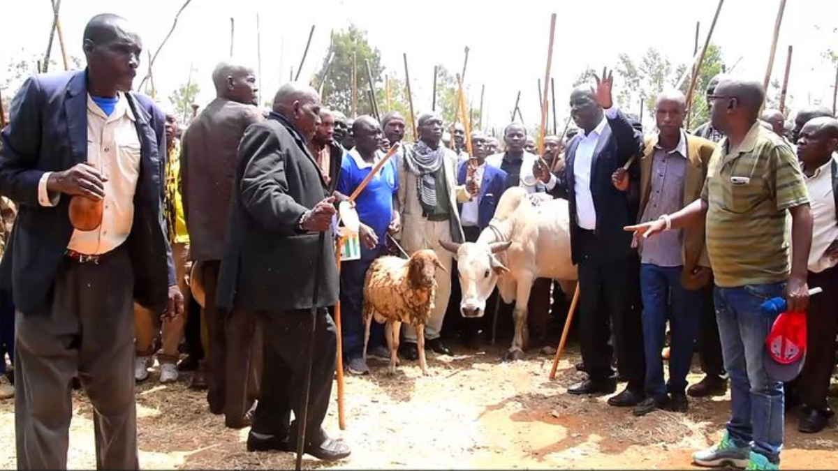 Njuri Ncheke elders to act as mediators between Meru MCAs and governor Mwangaza