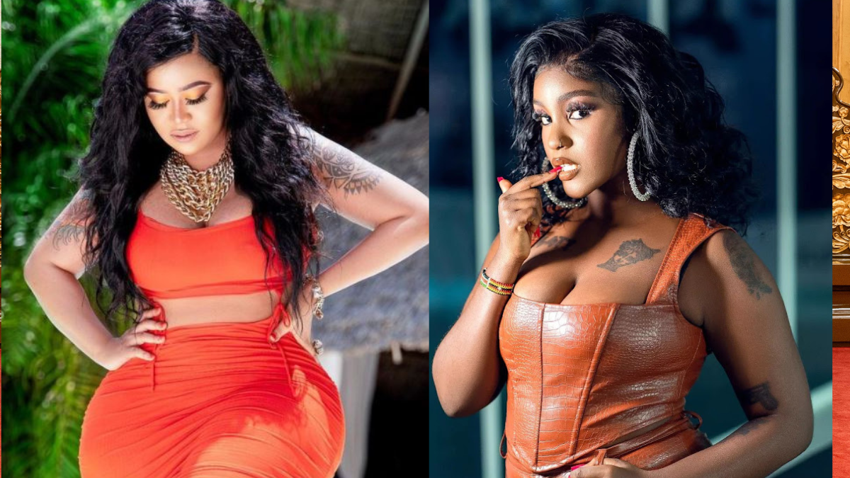 Vera Sidika and Shakila fight hours after partying together