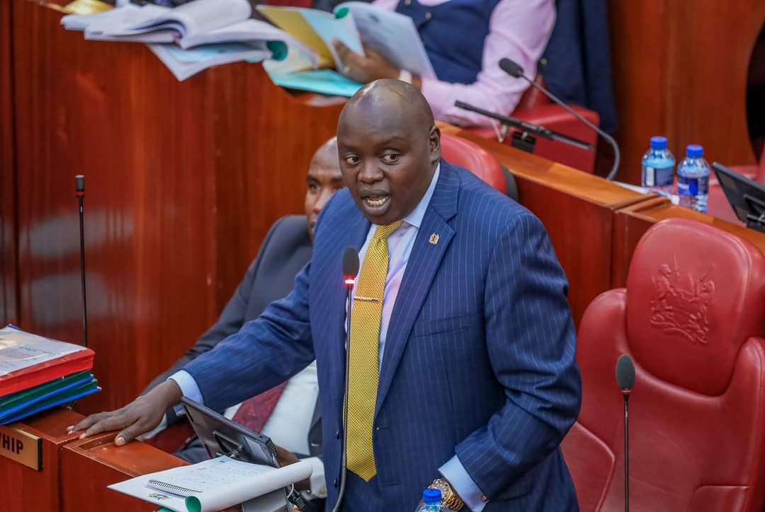 Nandi Senator Samson Cherargei in the Senate chambers