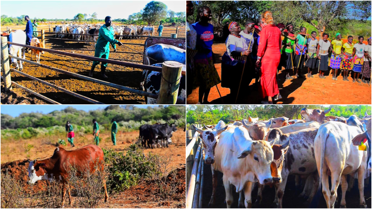 Against all odds: The beauty of controversial Mukutan Conservancy, formerly Laikipia Nature Conservancy