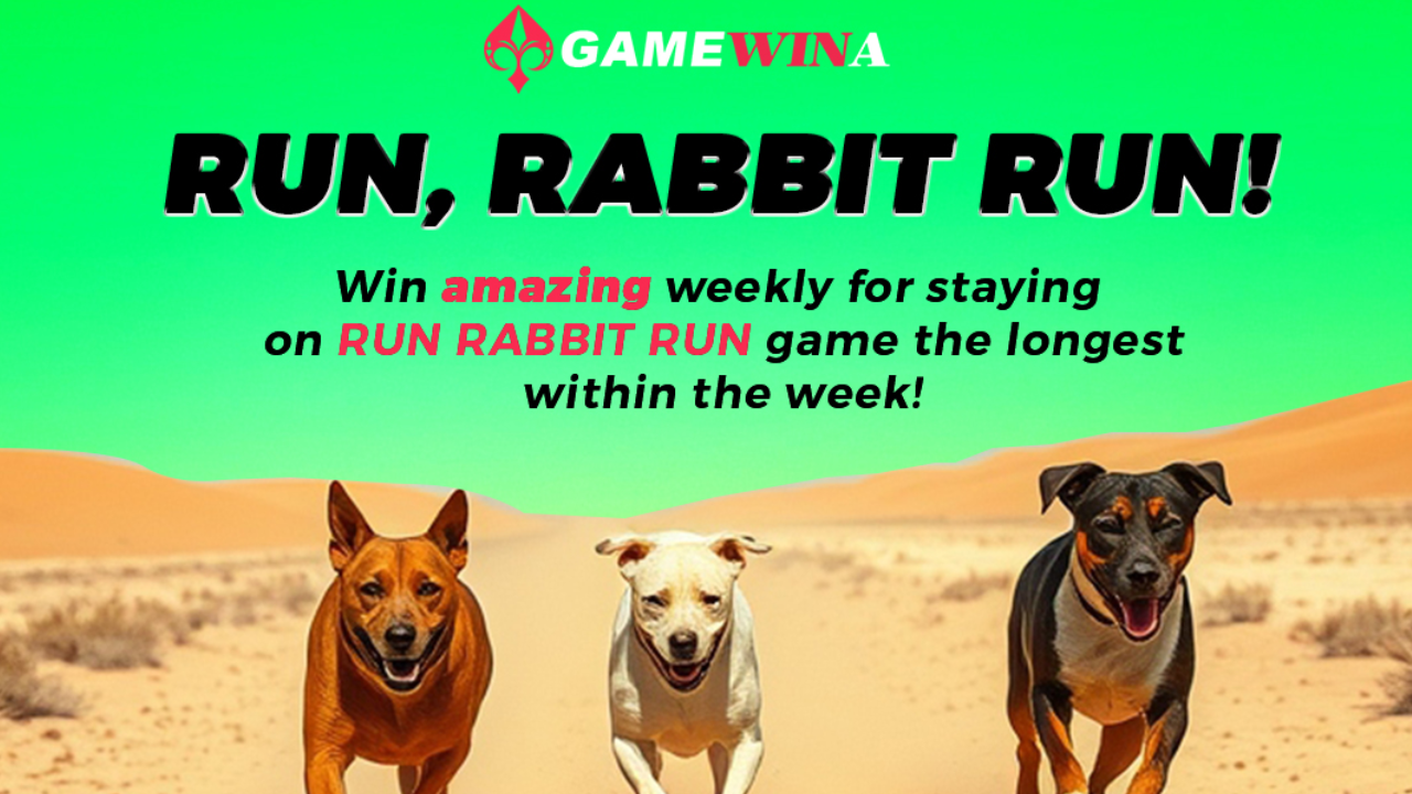 Gamewina Kenya Introduces Run Rabbit Run Game to Rival Aviator, Promises High Returns