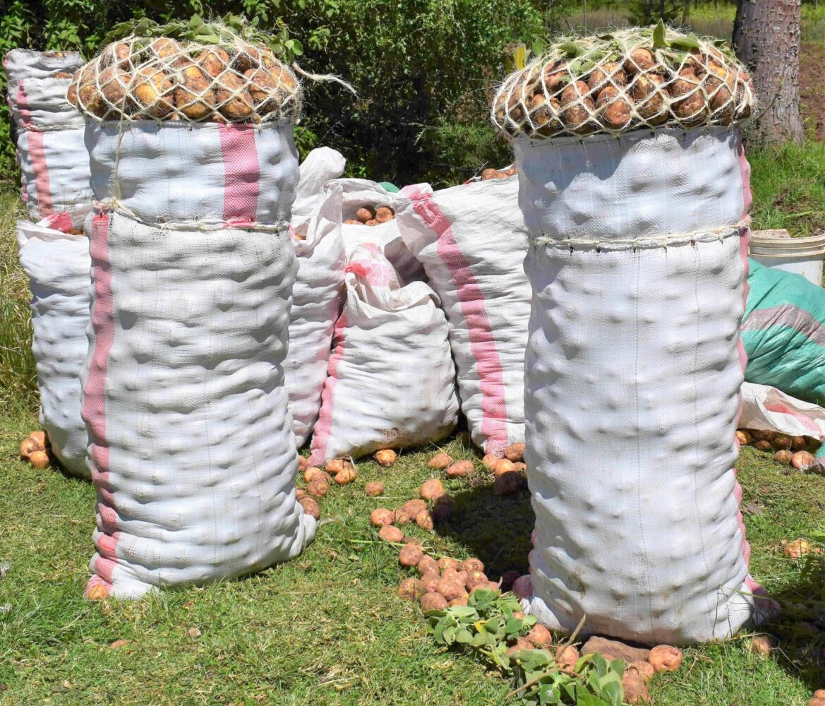 “You will be arrested!” – PS Ronoh warns vendors exploiting potato farmers with extended bags