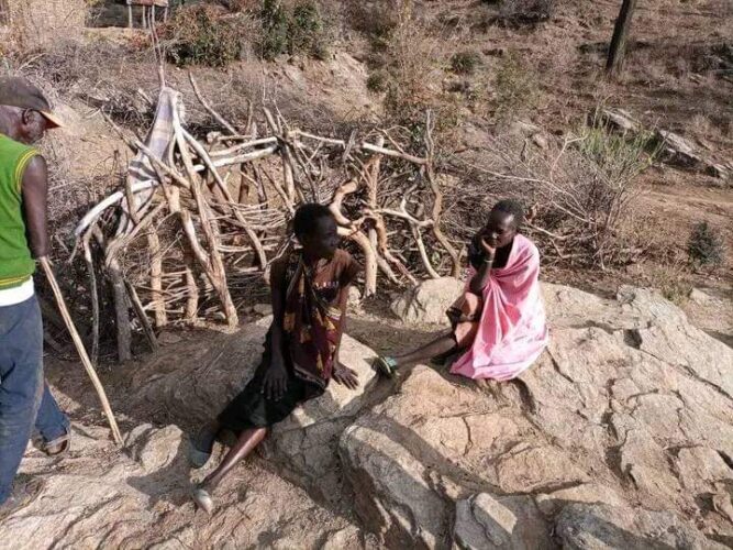 Bandits Attack Pokot Village, Steal Livestock Belonging To 4 Widows Of 