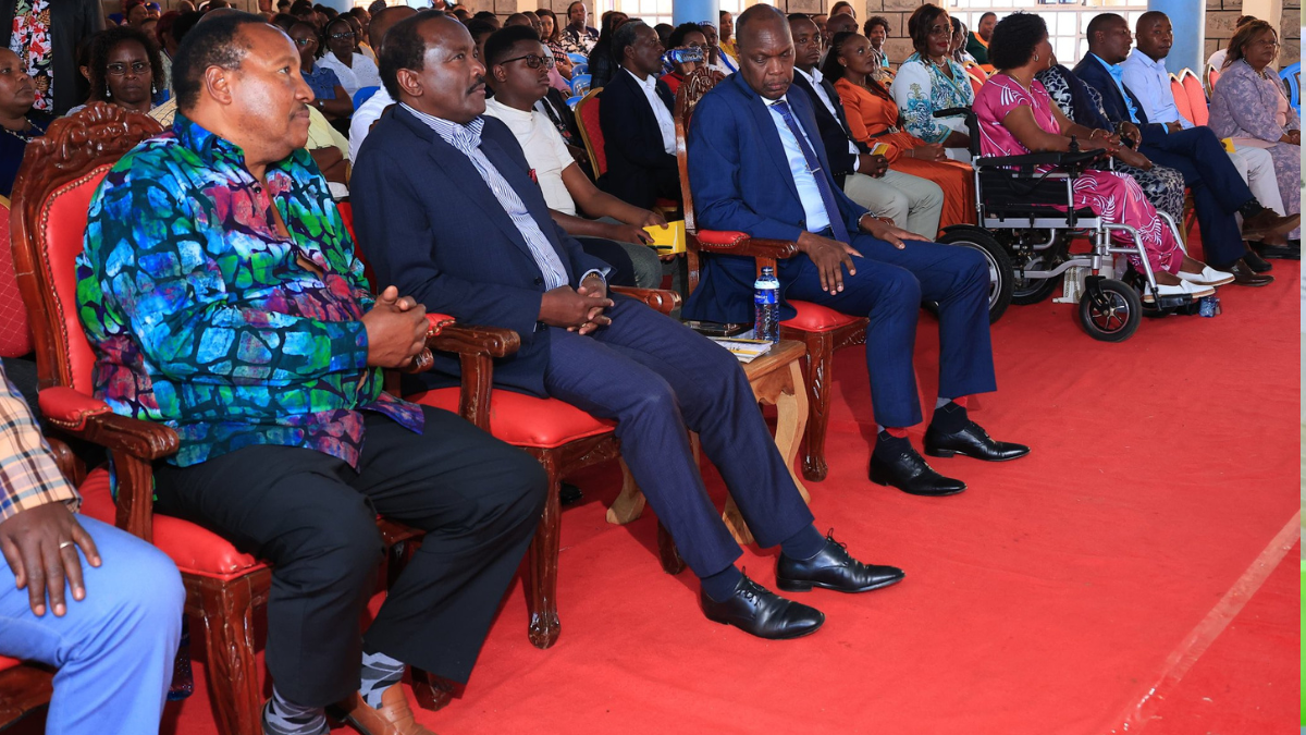 Kalonzo blames President Ruto over delays in establishing new IEBC