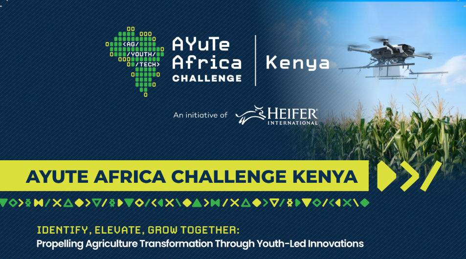 Young Agritech Innovators win big in Heifer’s 2024 AYuTe Africa Challenge Kenya awards