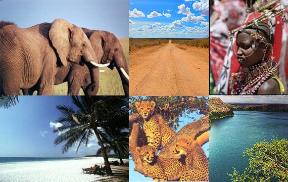 The tourism revival: Kenya’s natural gems shine again