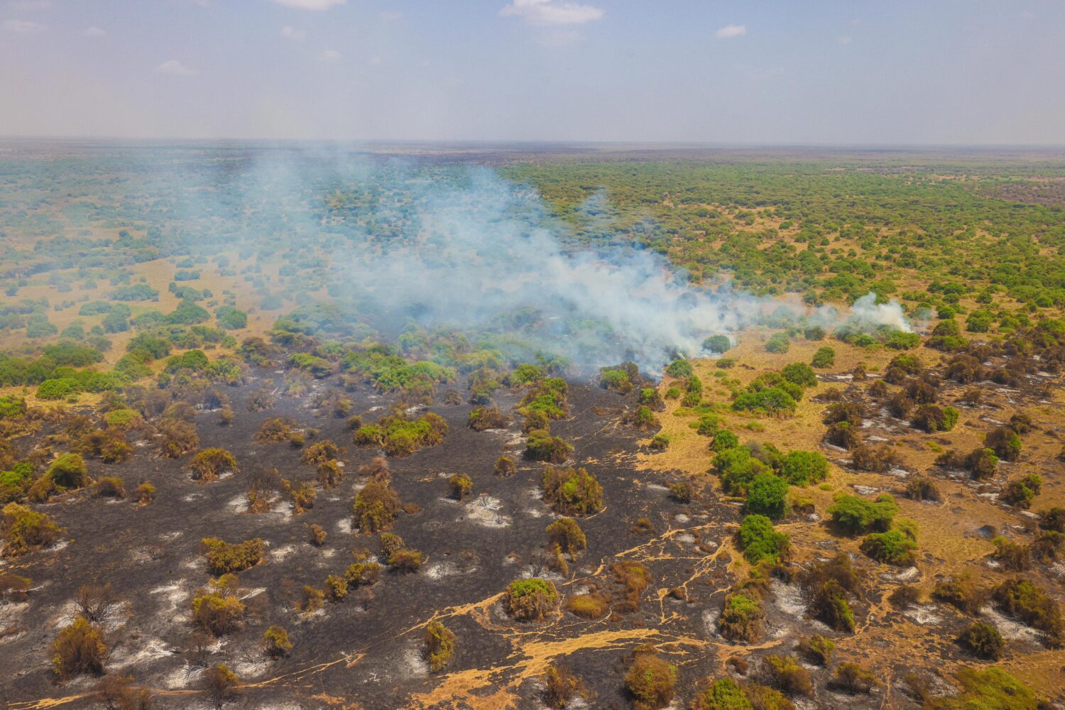 Isiolo forest fire now contained as State warns against reckless lighting of fires during dry season