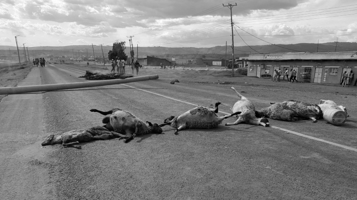 Police officers injured, one loses arm while engaging Narok protestors over the killing of 20 sheep