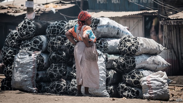 Isiolo: Charcoal traders appeal for support to venture into alternative safe fuels