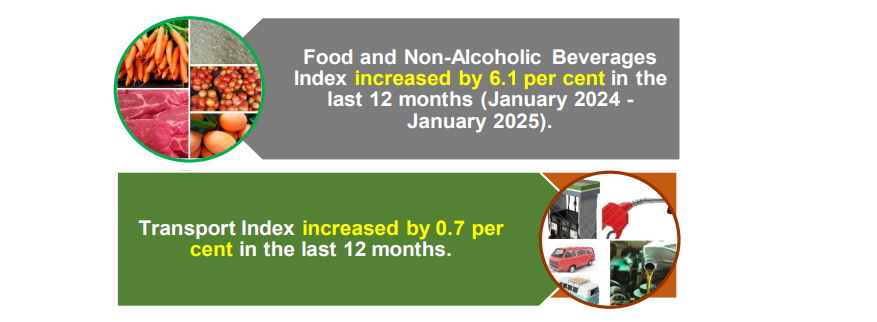 Highlights of January 2025 inflation rate; rises to 3.3% from 3%