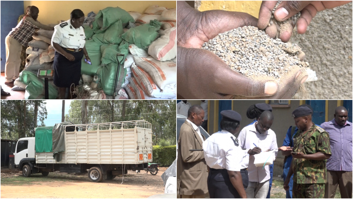 Police raid home in Kakamega, seize over 12,800kg of fake fertiliser been loaded into a lorry