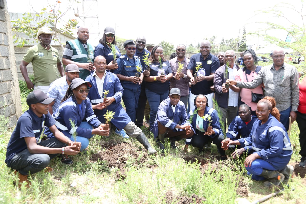 Nairobi celebrates key global event, promises to plant more trees for sustainability