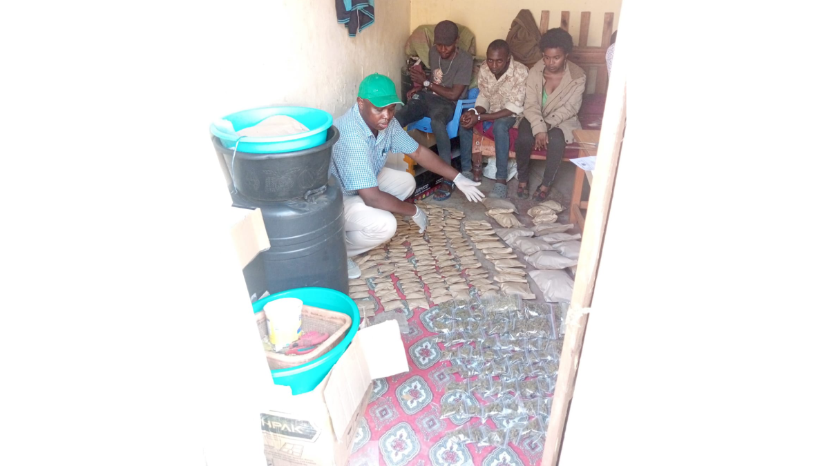 Juja: Two bhang traffickers arrested in NACADA crackdown on narcotics; 500 rolls recovered