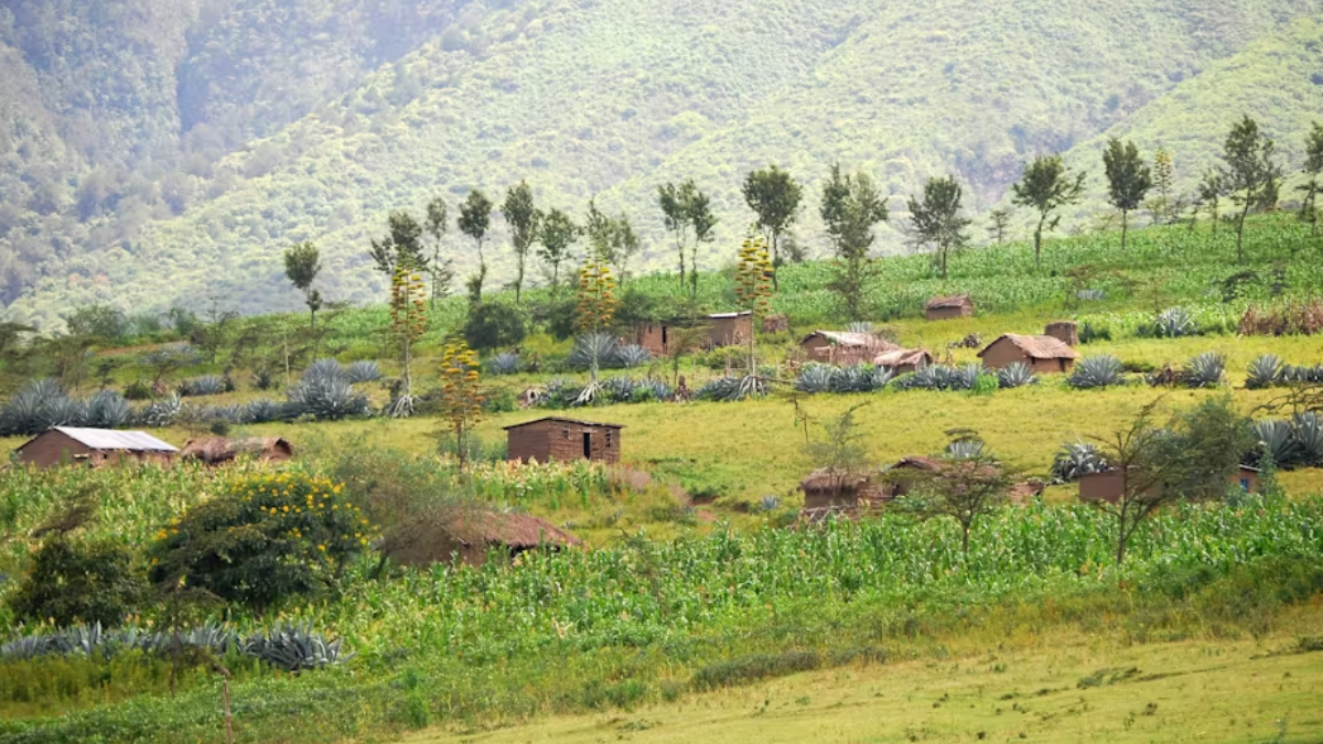 Kenya’s goal to plant 15 billion trees should include farmers – study shows they are keen