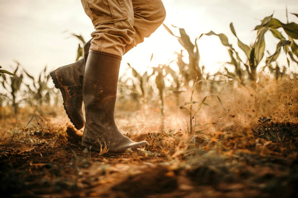 2.8 million Kenyans at risk of acute food insecurity as drought looms, NDMA warns