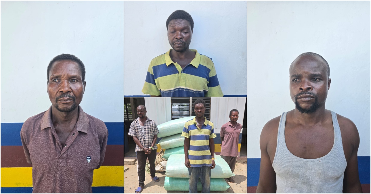 DCI Kaloleni busts three drug traffickers, seizes six sacks of bhang